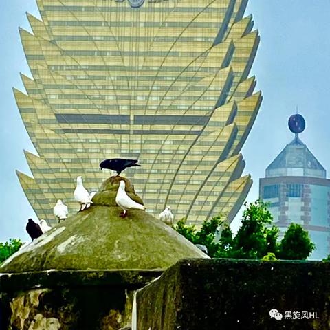 2025港澳免费资料大全与香港历史最快开奖结果！抵制不实标榜坑！突破释义、解释与落实​